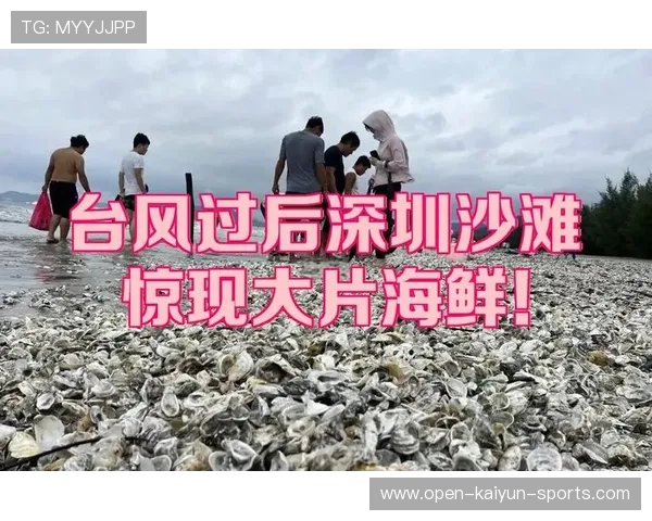 惠州海鲜大增，台风带动渔业发展，惠州台风最新消息今天